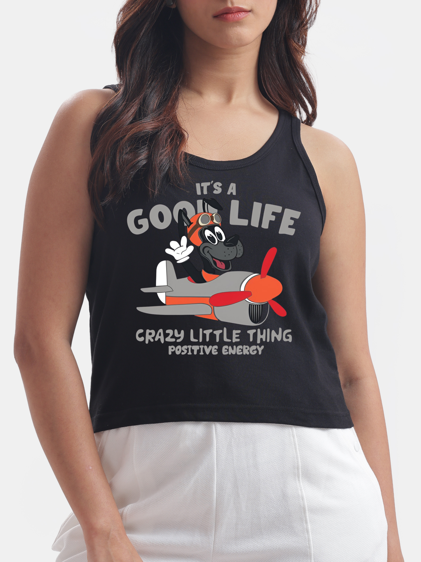 Pilot Dog : Aeroplane Ride