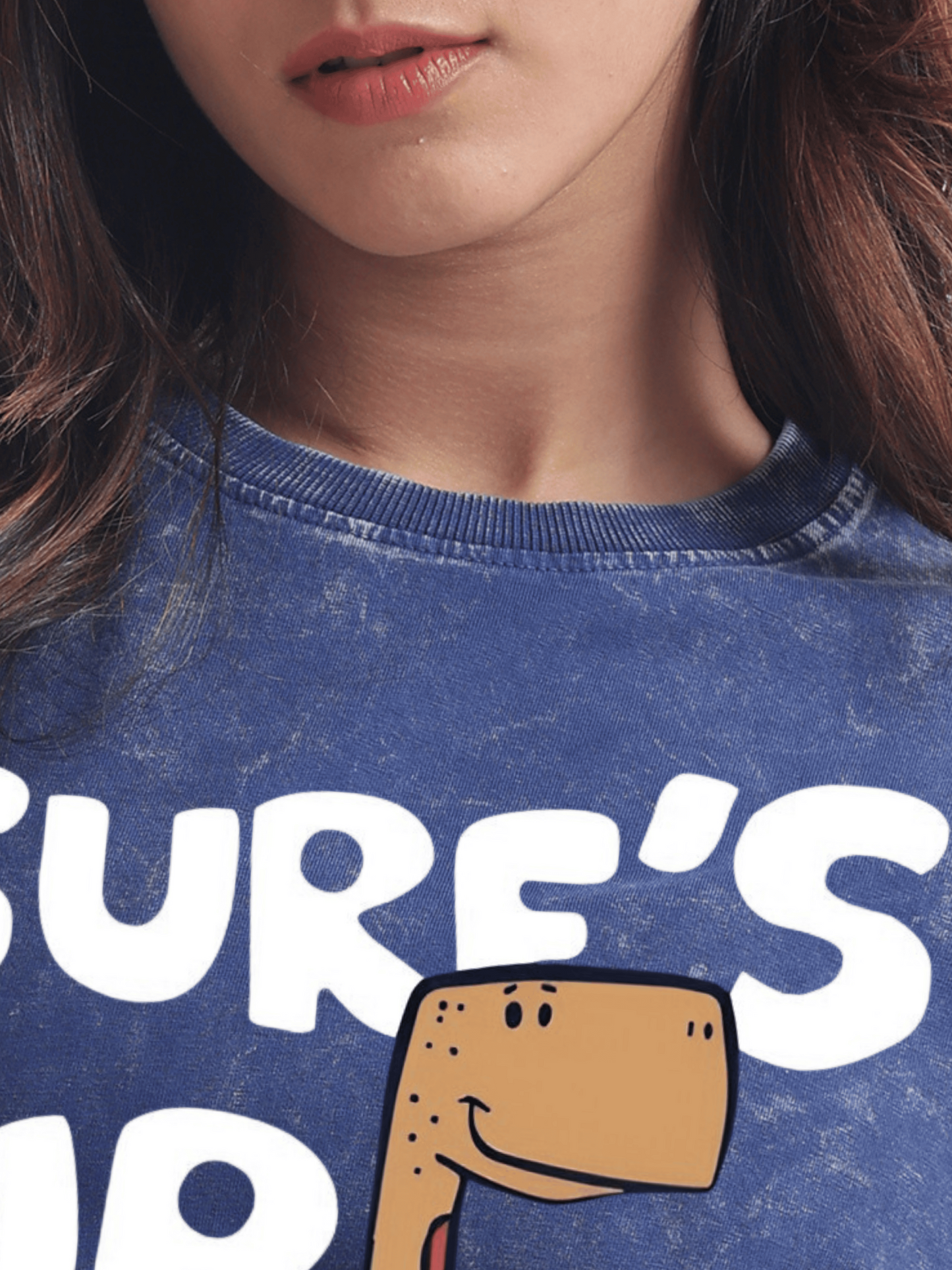 Surf's Up : California Dreams