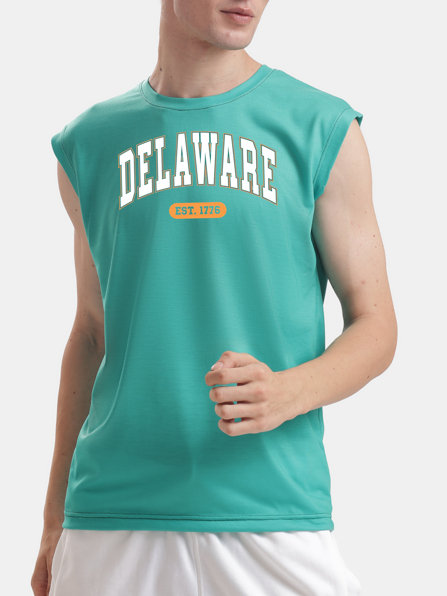 Delaware USA Est. 1776