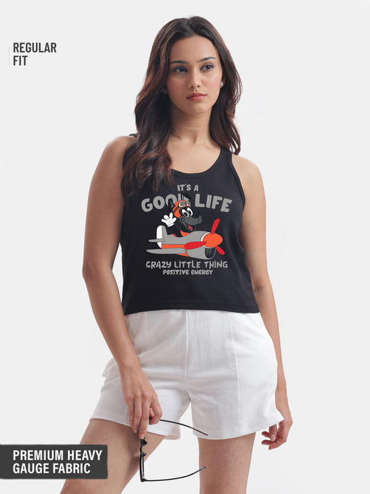 Pilot Dog : Aeroplane Ride